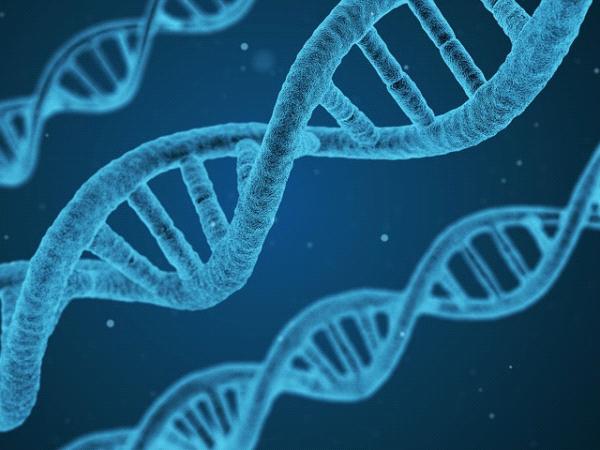ADN et génétique