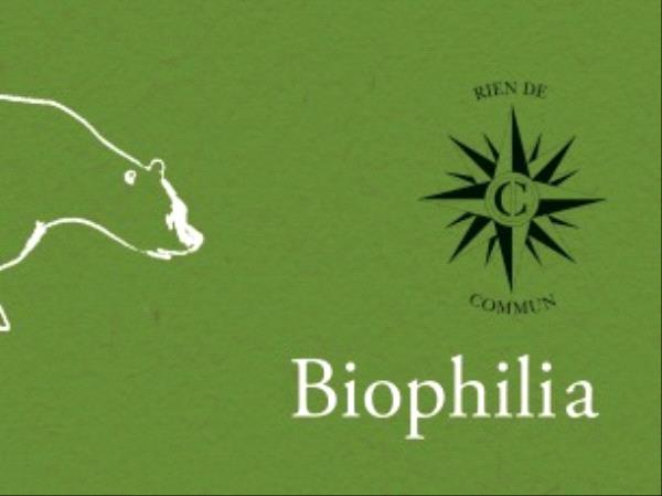 Affiche  Biophilia verte, un ours est dessiné en blanc à la gauche de l'image au centre, logo de Biophilia noir