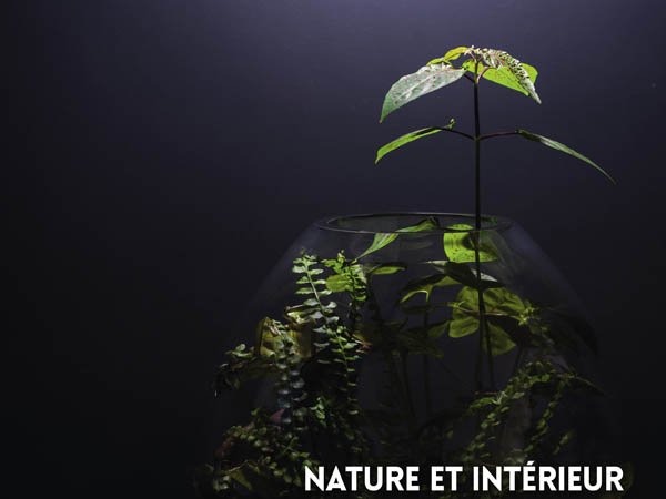 Garden Lab.jpg