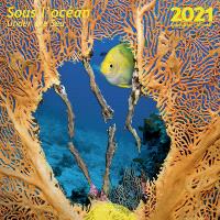 Calendrier Sous l'océan 2021
