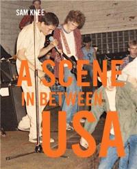 Scene in between USA the sounds and styles of American indie 1983-1989
